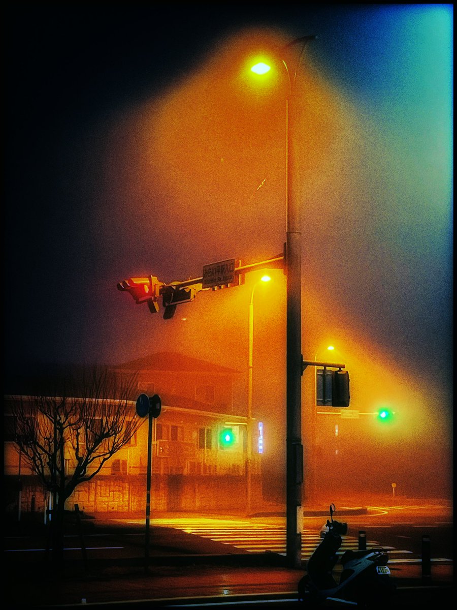 霧のなかの記憶

#写真好きな人と繋がりたい
#スマホ写真部
#iphonegraphy 
#根元的恐怖　
#ファインダー越しの私の世界
#霧のある風景