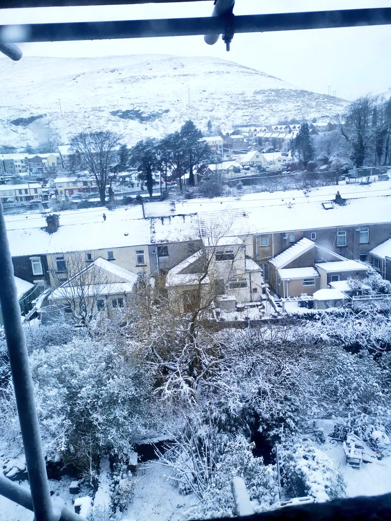 Snow day!❄️🌨️☃️
-in Harveys case it means a rest day .

Let's see your snow pictures if you've got any where you are.. 😊
#harveysjourney #duchennewarrior #autism #noschool #snowday #welshvalleys