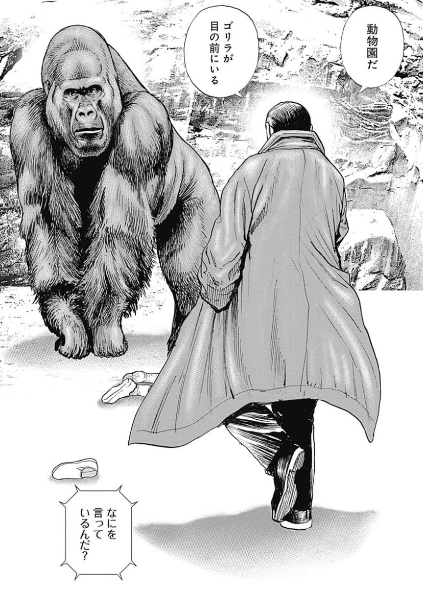 こんな良いこと言ってる奴と動物園のゴリラに喧嘩売ってボッコボコに