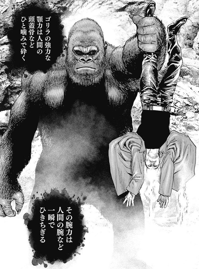 ☆ゴリラ☆です こんな良いこと言ってる奴と動物園のゴリラに喧嘩売ってボッコボコに