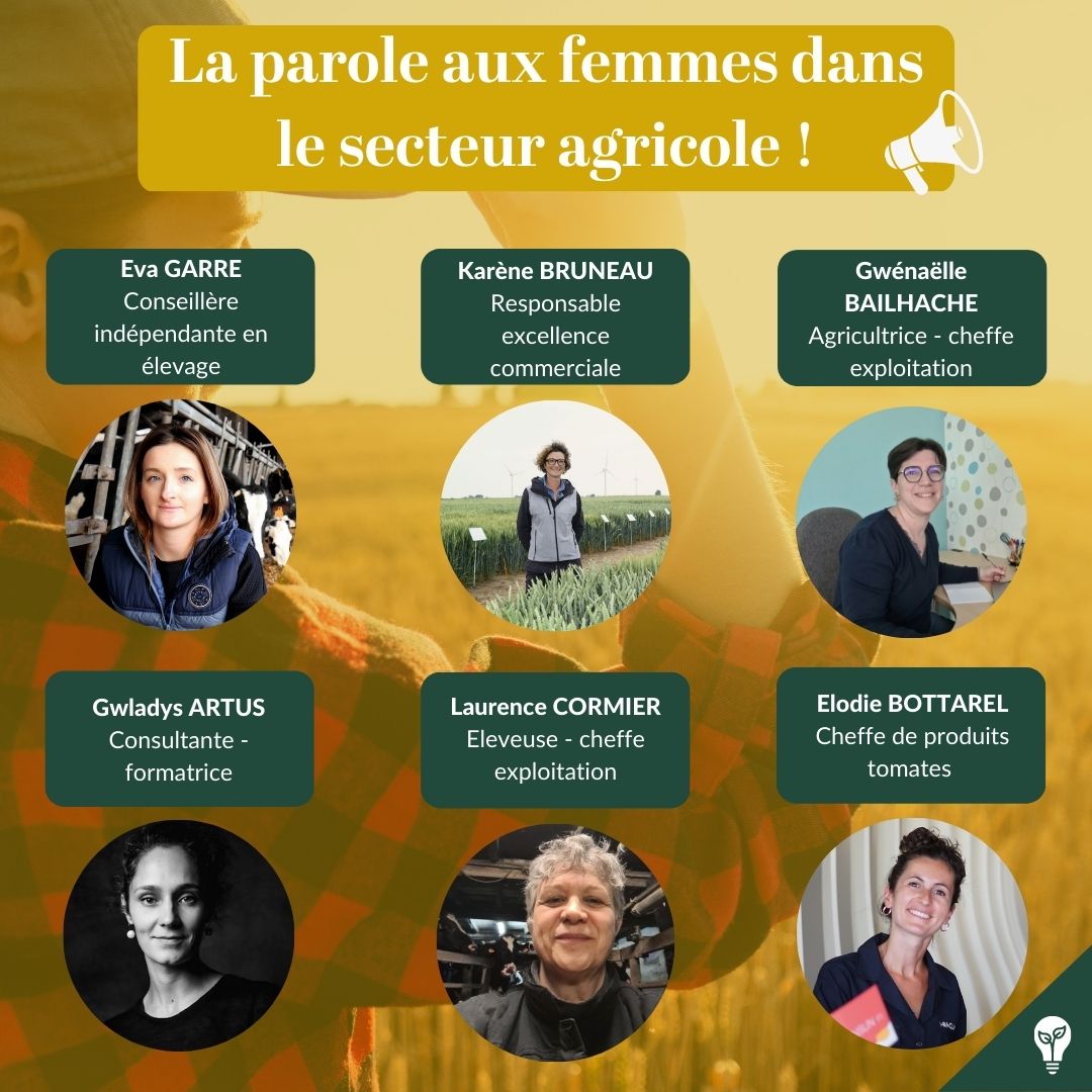 L'agriculture n'est pas qu'un monde d'hommes ! ➤ Partons à la découverte de six femmes talentueuses qui nous racontent leur parcours dans le secteur agricole 👩‍🌾 comunicacoltura.com/parole-femmes-… #8mars #journeeinternationaledesdroitsdesfemmes 1/3