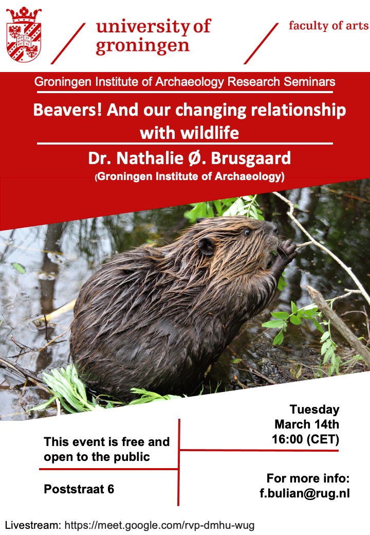I am happy to announce another interesting GIA research seminar!! Our Dr. @natbrusgaard on Beavers! And our changing relationship with wildlife,
 14 March 16.00 (CET). In person and online, meet.google.com/rvp-dmhu-wug #GIA #archaeology #researchseminar 
@FacultyofArtsUG @ZooArchGIA