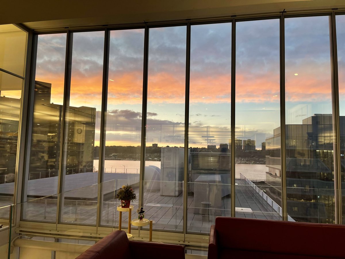 ✨On women’s international day, I am pleased to share that I have joined the team of <a href="/bjmarlin/">Bianca Jones Marlin, PhD</a>, a brilliant neuroscientist and inspiring woman at <a href="/Columbia/">Columbia University</a> <a href="/ZuckermanBrain/">Columbia University's Zuckerman Institute</a>, to pursue my research addressing and improving women’s health 👩🏻‍🍼🧠
#WID #womenshealth #brainresearch