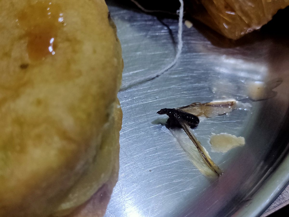 adinsk9's tweet photo. @SwiggyCares
This is worse experience with order served by Icchamani Wadapav &amp; fulfilled by @Swiggy Found Flying Light Insect in Imli Khatai package which received with order. This shows negligence towards food safety norms. Also the food items were cold. This is not acceptable. https://t.co/Gv2o7X3AcV