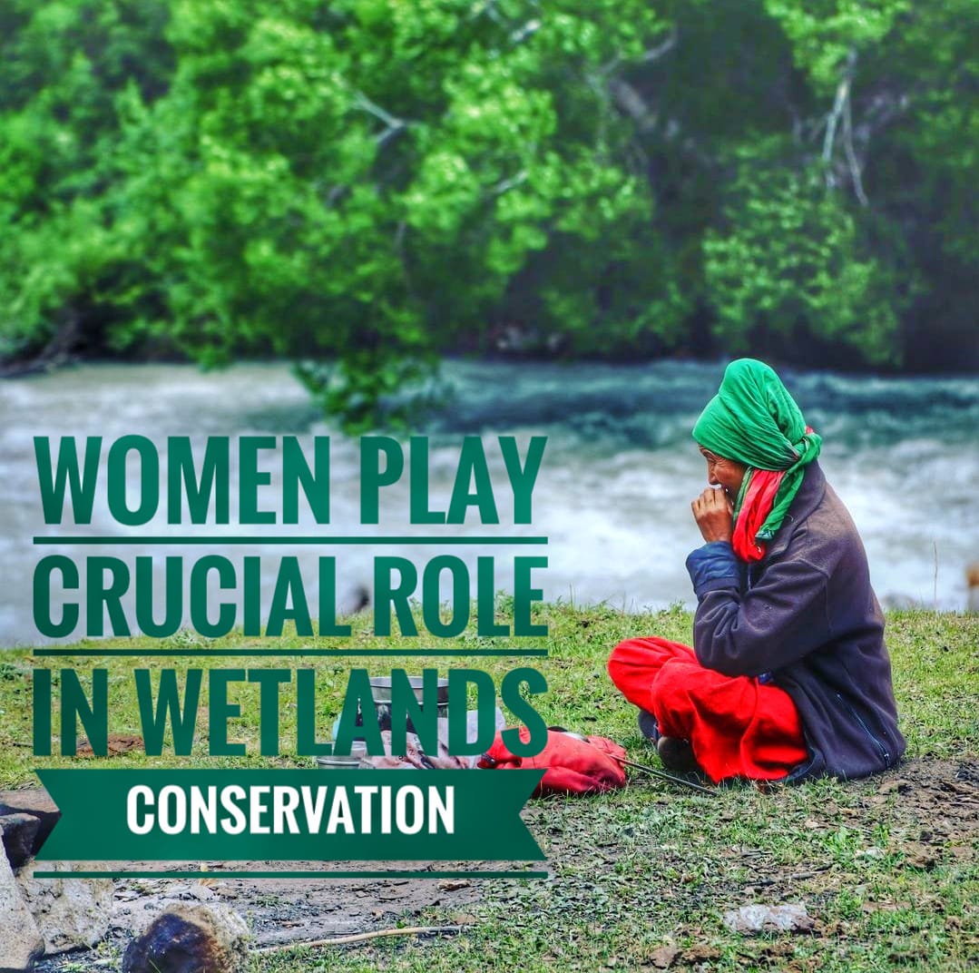 WetlandsInt_SA's tweet photo. From rural communities to the world of technology and innovation, women are leading the way in creating sustainable world including #WetlandsConservation
#WomensDay #IWD2023 
#WetlandWednesdays https://t.co/Rq4OpUidRL