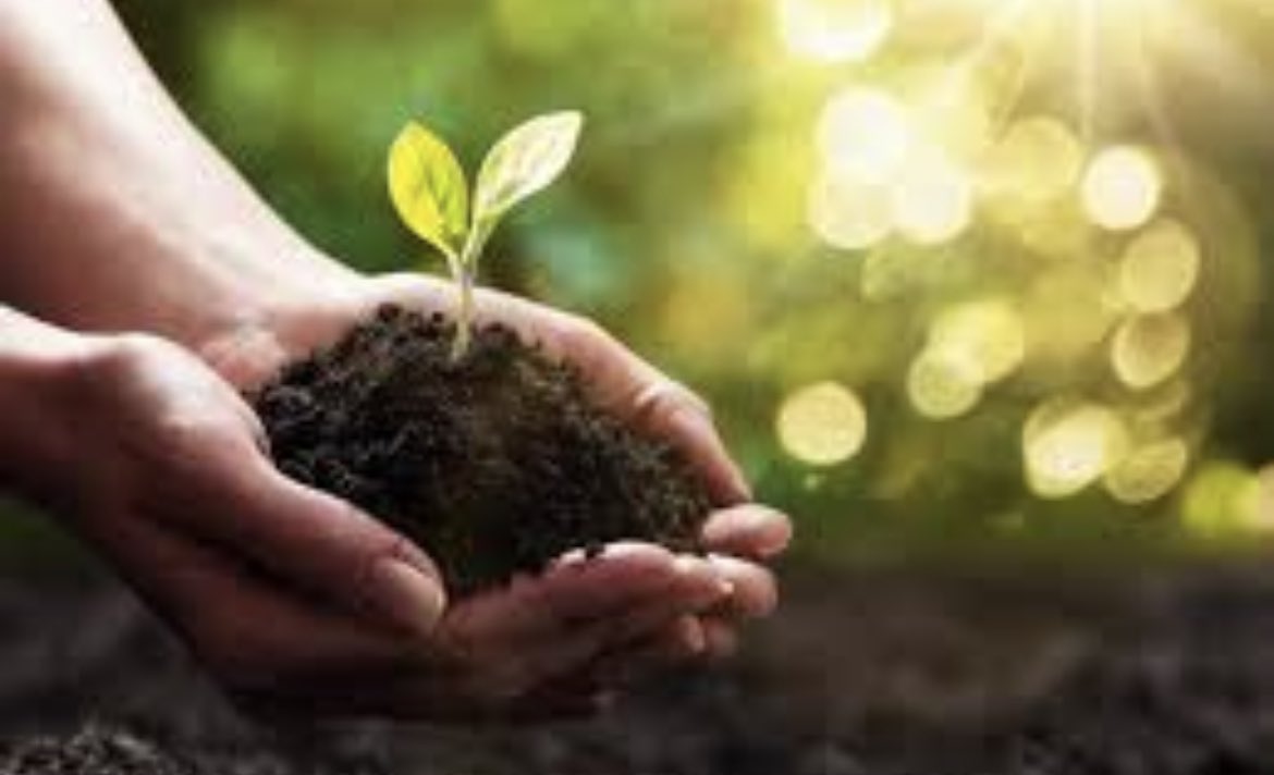 Vandaag is het biddag voor gewas en arbeid.