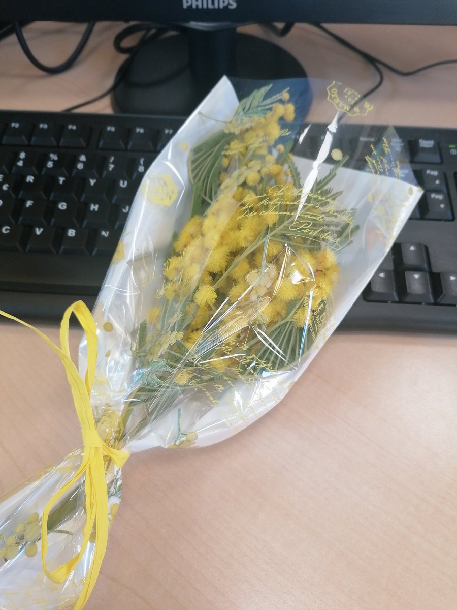 __angie58's tweet photo. Primo piantino della giornata fatto 🥺❤️ https://t.co/ZPbs357PWW