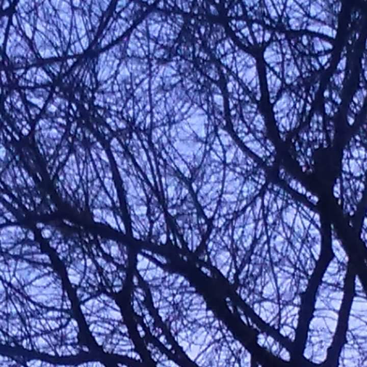RT @ElisaVacca: Neural network in the Sky
#sunset behind a tree, #Torino, Feb'15

#turin #torinobynight #turinbynight #sunsetphotography #tramonto #cityphotography #urbandetails #urbanpics #urbanphotography #neuralnetworks #sky #skyphotography #cielo #vi…