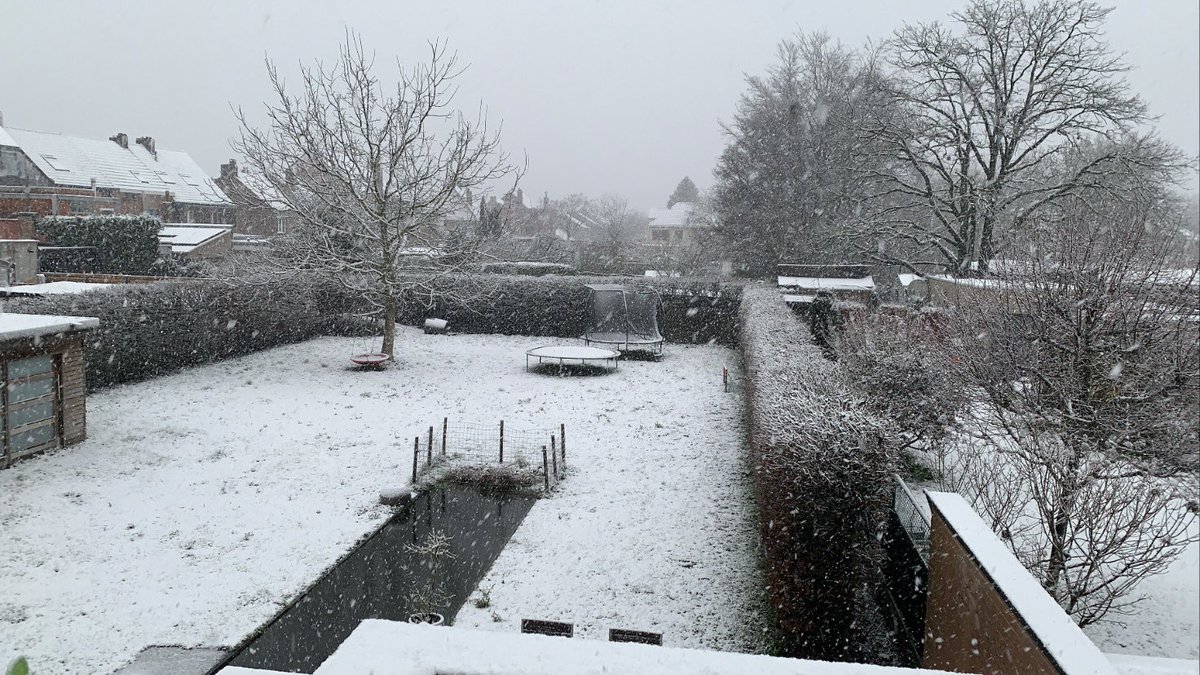 Joaquim Blaze tweet media