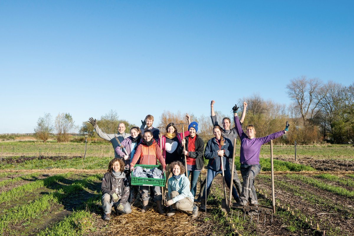 Cityplot tweet media