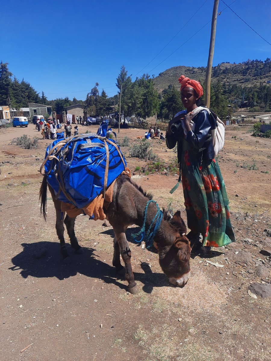 IOMEthiopia's tweet photo. .@NmweoM ensures that girls and women are protected from gender-based violence at the distribution and involves women in choosing safe distribution points. 

Thanks to @USAIDSavesLives for supporting this lifesaving assistance! 

#IWD2023 
#RoadToEquality
#RapidResponseFund https://t.co/useFmlv8Z2