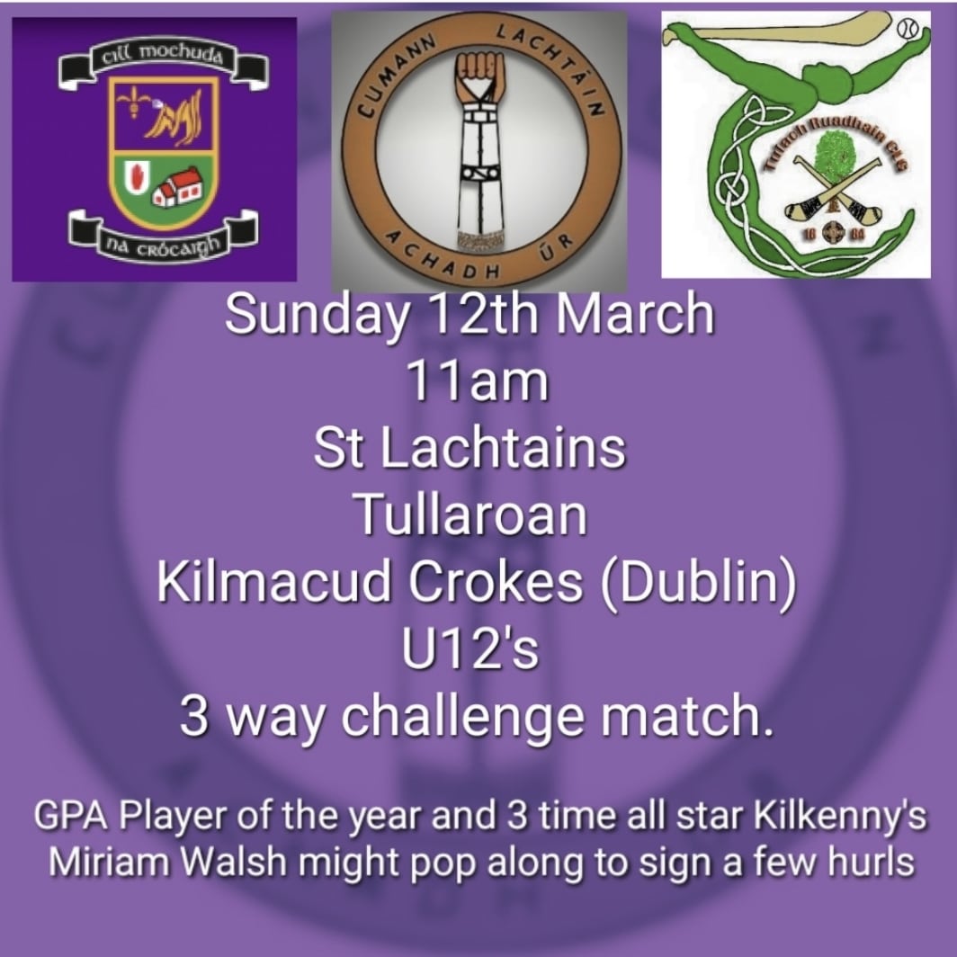 Stlachtainscamogie (@st_lachtains) on Twitter photo 