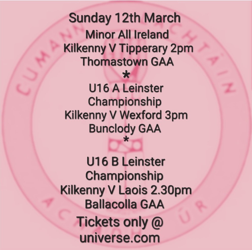 Stlachtainscamogie (@st_lachtains) on Twitter photo 