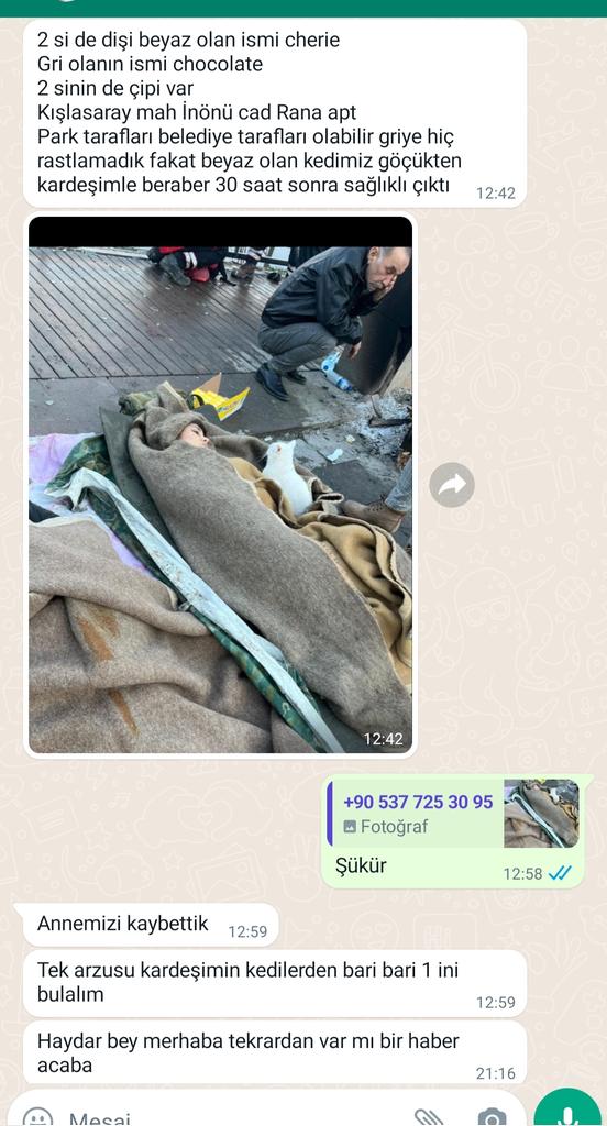 Bazı ihbarlar var ki, yürek dayanmıyor.
Hep soruyorlar"ağır hasarlı binalara nasıl cesaret edip giriyorsunuz" diye, gel de bu enkaza girme!
Koruyucu tedbirimizi alıp yaradana sığınıp gireceğiz.
“Acı duyabiliyorsan, canlısın. Başkalarının acısını duyabiliyorsan, insansın.” Tolstoy