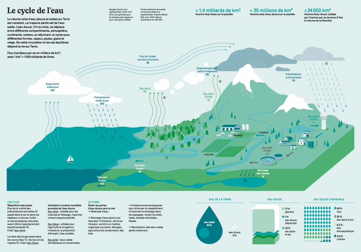 Nous manquons de pluie car nous manquons d'arbres ! Les végétaux évapotranspirent et lâchent de l'eau dans l'atmosphère qui forme à son tour la pluie. 
Le chêne transpire 1000 litres d'eau par jour.
Face aux sécheresses récurrentes, nous devons planter ! Chaque arbre compte 🌳💧