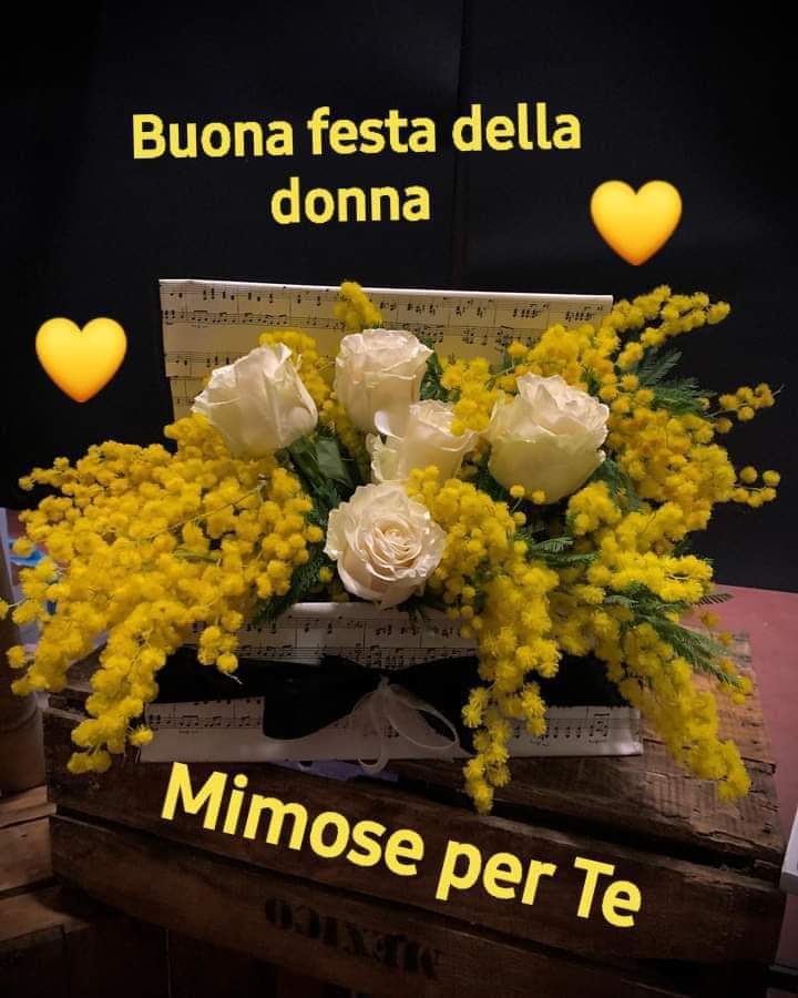 IstrianiA's tweet photo. #Istria #Istrianiatrieste AUGURI A TUTTE LE DONNE https://t.co/7WJtI5pvGU