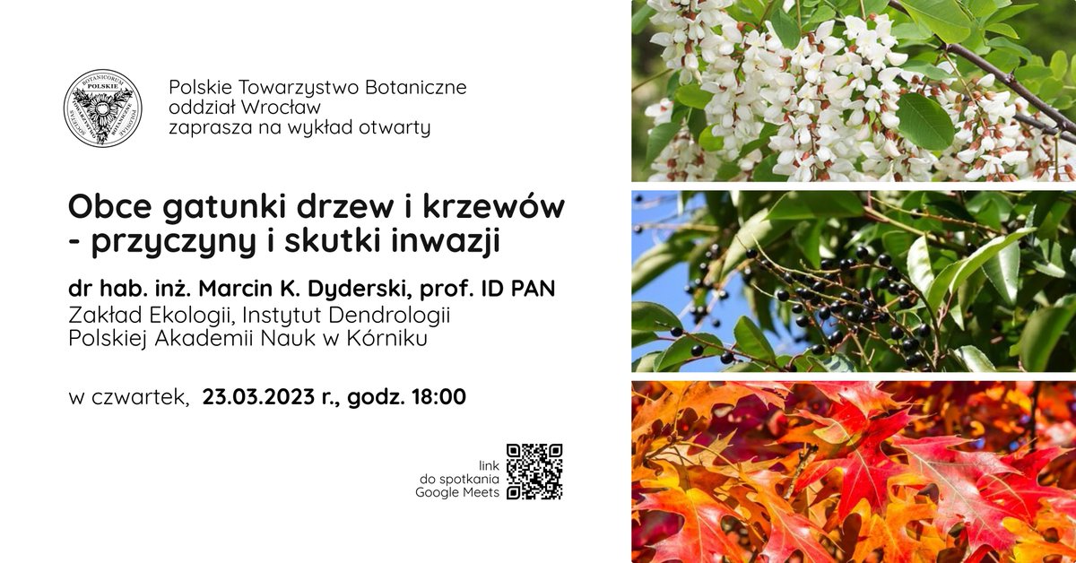 #alien #trees #invasion lecture in 🇵🇱 Thu 23rd March
meet.google.com/bhh-mcjn-iyb