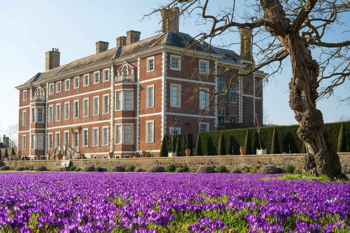 HamHouseNT's tweet photo. The snow might be falling this week but, between flurries, our fab crocus carpets are bringing us (&amp; resident cat Lord Roscoe) so much joy 🤩
Why not warm chilly hands with a cuppa in our café while you visit? 🫖
#gardens #VisitRichmond #ham #spring #wellbeing

📷NTI/Chris Davies https://t.co/GsRey8AKdF