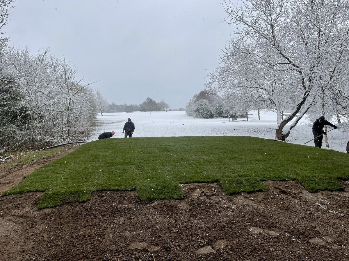 An oasis of green in a sea of white. #courseclosed