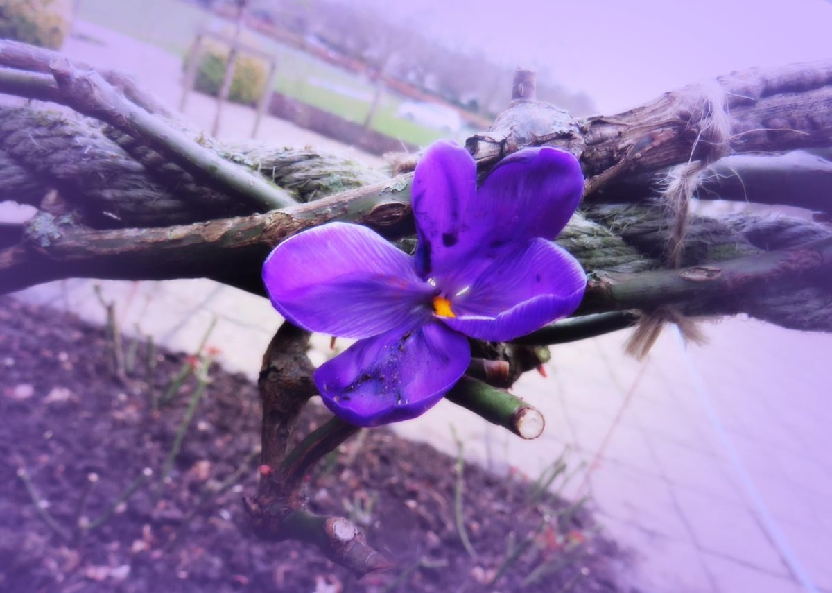 BromsPrep's tweet photo. Prep School Photography Club have enjoyed exploring their creativity using a variety of editing software. #BromsPhotoClub #BromsClubs #BromsActivities #SchoolActivities https://t.co/LaVhaCQEUi
