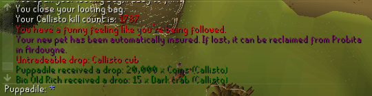 rs_reckless's tweet image. Just missing one more wildy pet!
Bear Cub at 1,787
#pet25