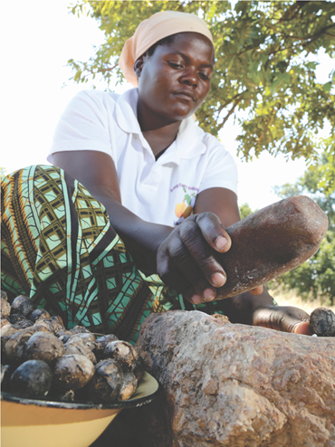 Scope4Ivc's tweet photo. On International Women’s Day @Scope4Ivc appreciates women who make up more than 70% of the project’s participants in contributing to #export competitiveness in chili, nyimo &amp; marula value chains. #IWD2023 DigitALL: Innovation &amp; Technology for #gender equality @euinzim 2023#IWD https://t.co/J0IPhfyHLg