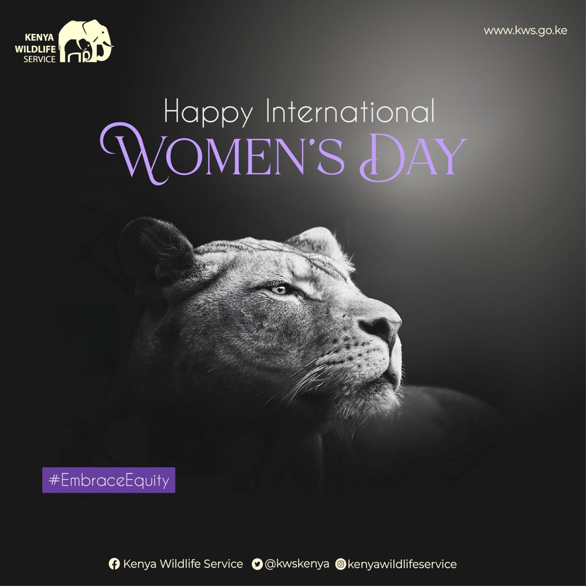 Happy #InternationalWomenDay to all the magnificent and incredible women for their achievements and milestones in their day to day Conservation and Tourism efforts with a special dedication to our Ranger Women, Wardens &amp; Staff <a href="/kwskenya/">Kenya Wildlife Service</a>

 #IWD2023 #EmbraceEquity