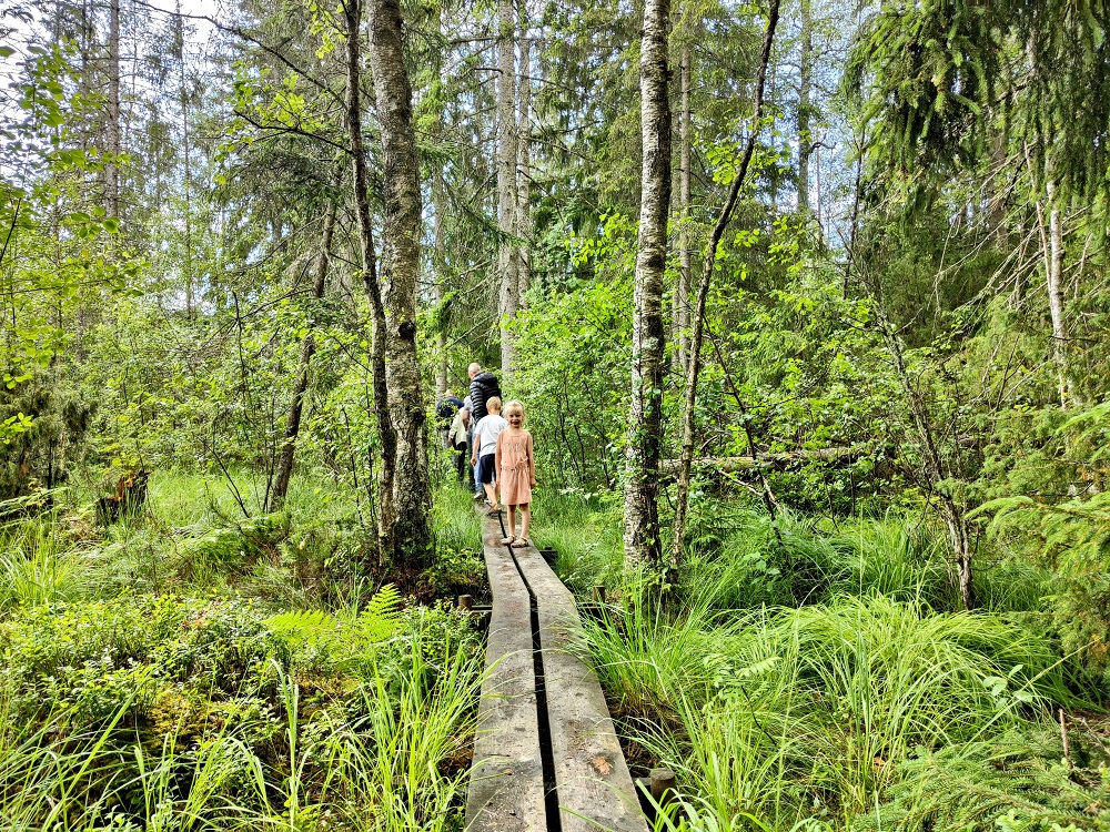 reishonger's tweet photo. In deze #reisblog lees je alles over de leukste activiteiten en bezienswaardigheden tijdens een vakantie in de zuidelijke regio's Småland en Blekinge: https://t.co/0bjKZUvdfz #zweden #smaland #reishonger #Sweden #vakantie https://t.co/7lP2Tfc9Wq
