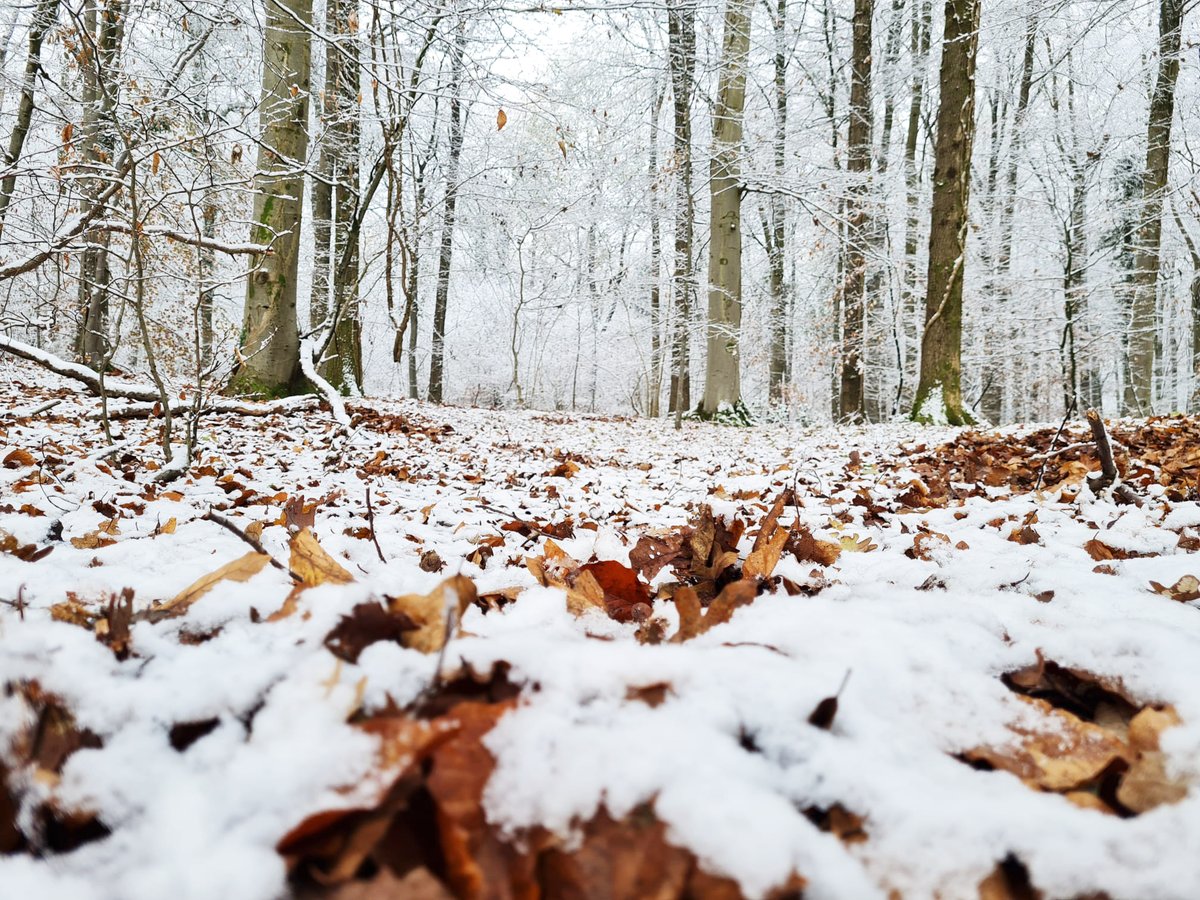 We are salting and patrolling roads across the County. More snow is forecast – particularly on high ground today. Please be careful if you’re out and about. #snow