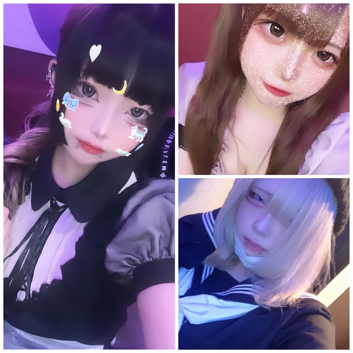 isolation_nyan's tweet photo. ♡ ３／８本日のにゃんこ ♡

18-22
🐈‍⬛ひめの@Hime__neko 
🐾月乃@nyan___pii0 
🐈‍⬛しと@broccoli_sito 

本日も沢山のご帰宅お待ちしております^ ̳>  ̫ < ̳^❤︎ https://t.co/YY8qN2zGUN
