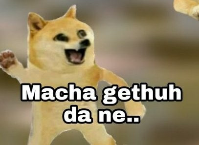Gowthamx3's tweet photo. @Cringecat__ https://t.co/rTvdD4R7LP