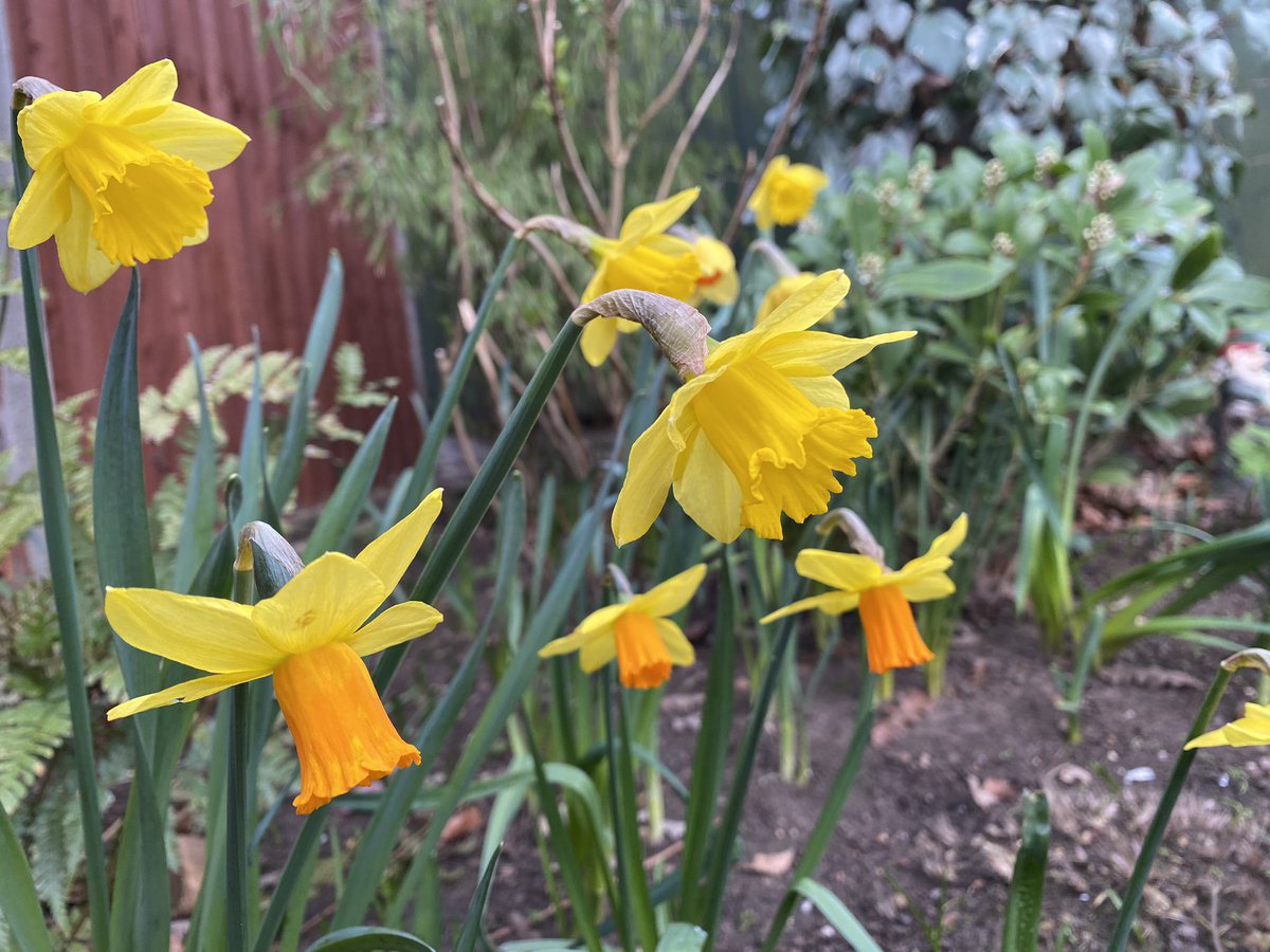 Happy International Women's Day #IWD2023