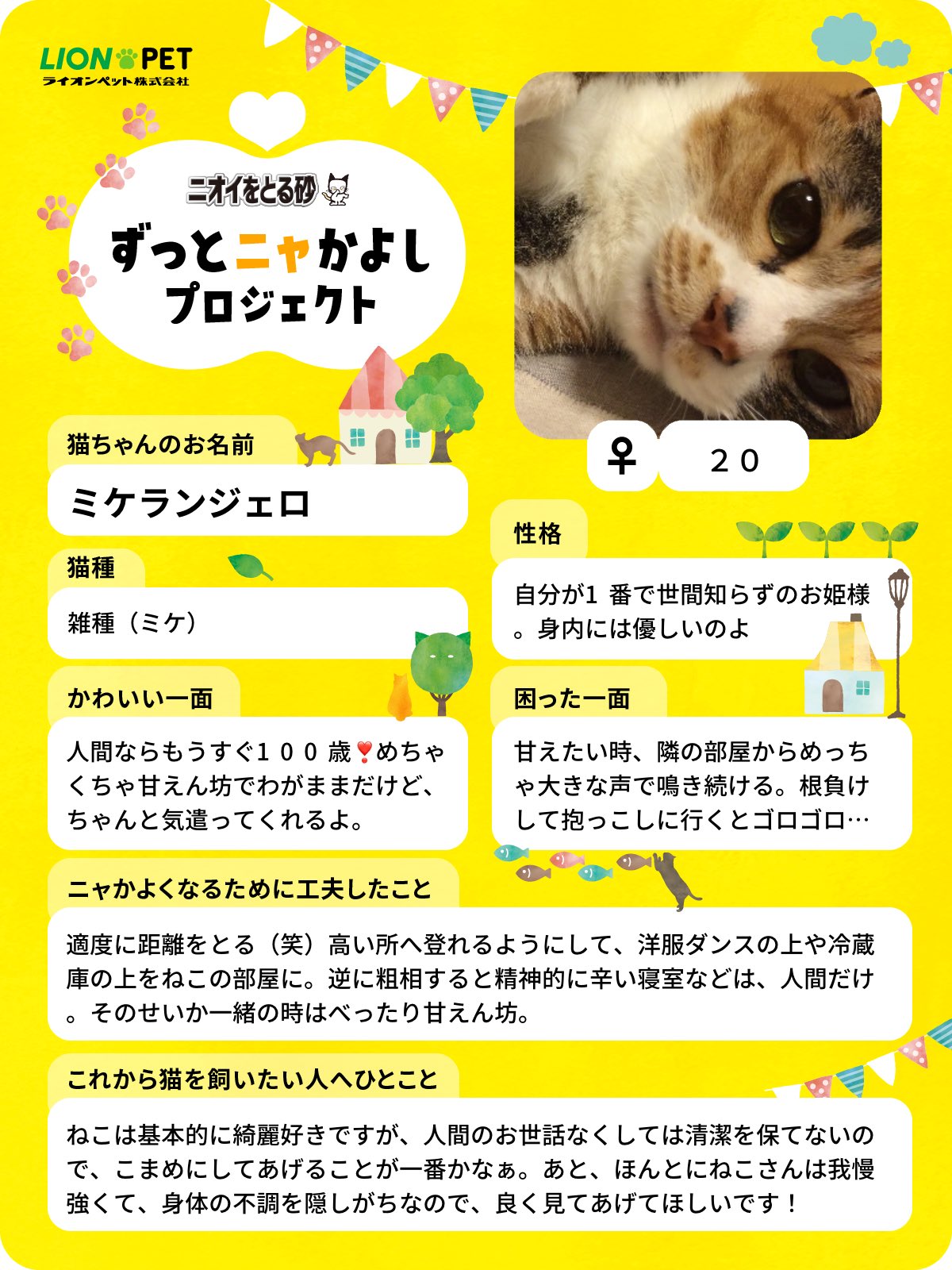 ライオンペット🐱【公式】lion_pet_cat (@lionpetcat1) / Twitter