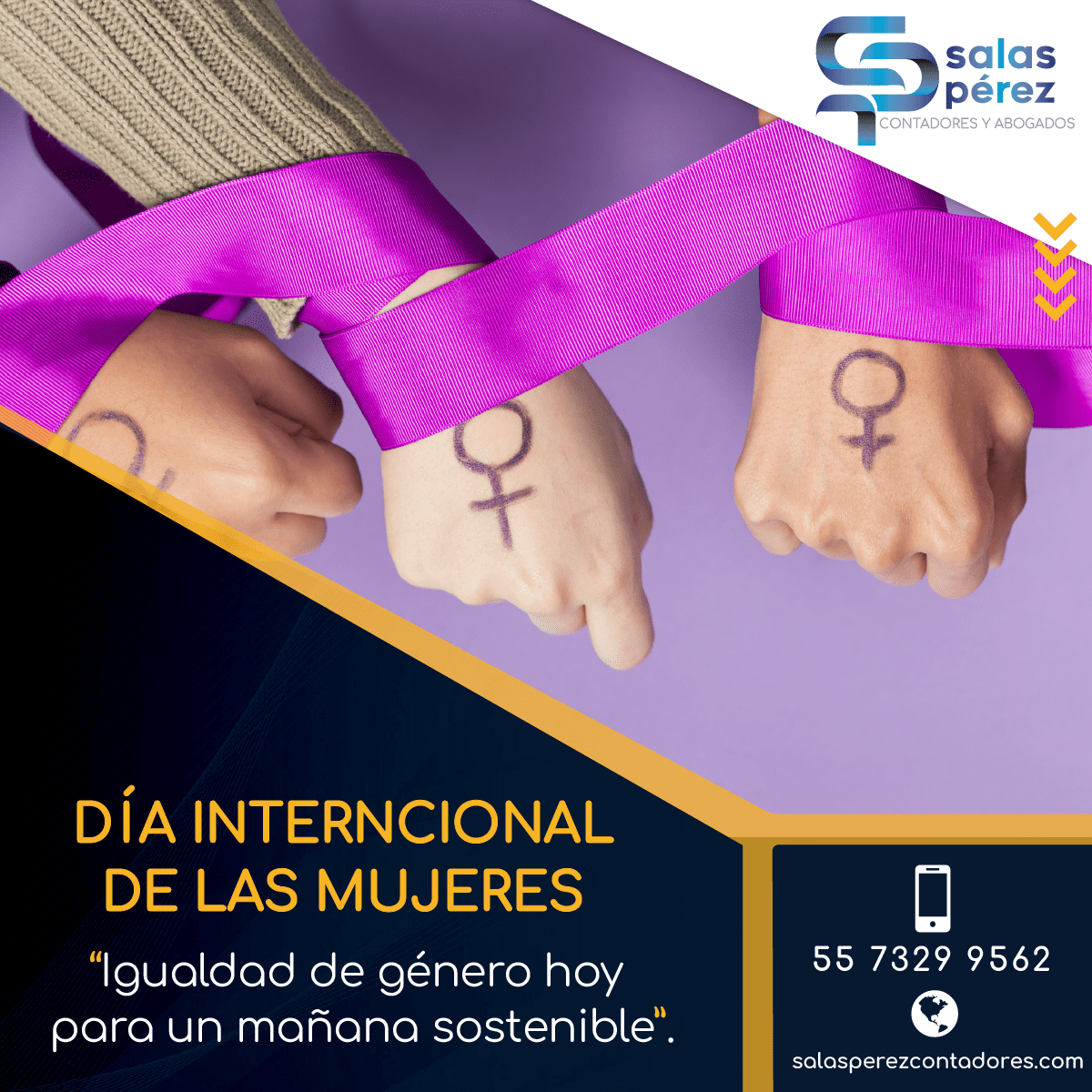 SalasContadores's tweet photo. El 8 de marzo se celebra el Día Internacional de la Mujer, un día para luchar por la igualdad, la participación y el empoderamiento de la mujer en todos los ámbitos de la sociedad. Solo hay que echar la vista atrás para ver lo que ha conseguido la mujer en solo 100 años. ♀️🤍 https://t.co/vGxeFWj4rb
