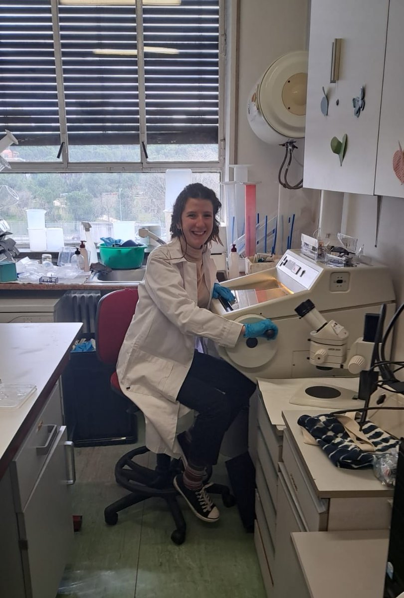 Guillén Lab tweet media