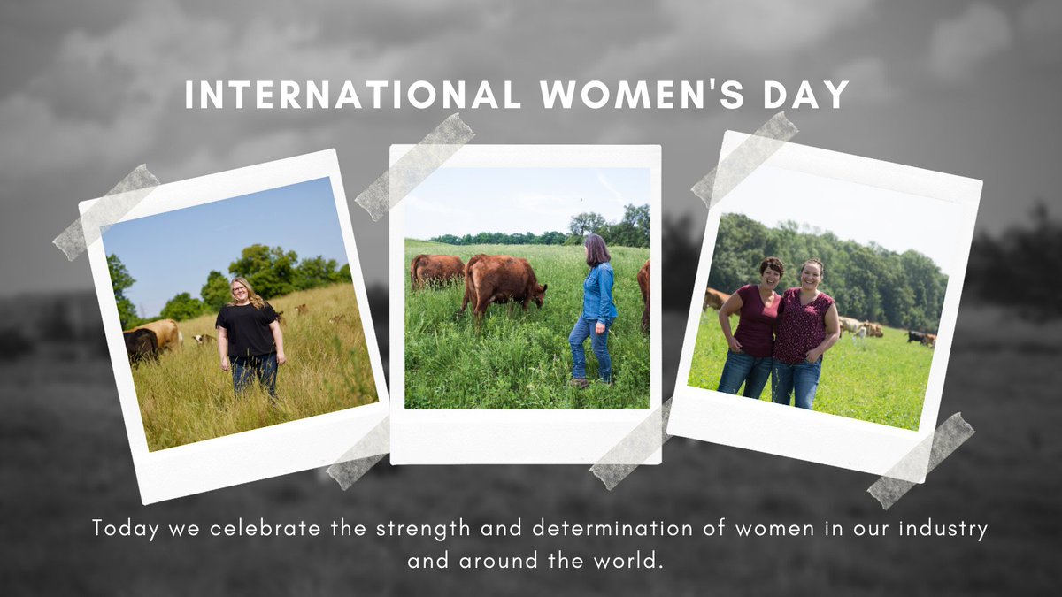 Today is #InternationalWomensDay, a day to recognize women's leadership and achievements in #cdnbeef and #ontbeef! As the beef industry moves forward, it is exciting to see the number grow of passionate and talented women involved at many different levels! #IWD2023