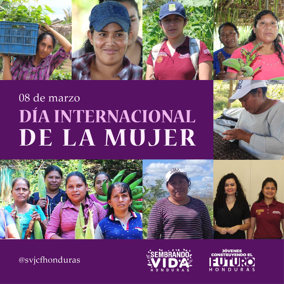 SvJcfHonduras's tweet photo. Hoy #8deMarzo, #DíaInternacionalDeLaMujer, el personal de los proyectos #SembrandoVida y #JóvenesConstruyendoElFuturo, desea reconocer la lucha y esfuerzo de cada una de las beneficiarias, compañeras de trabajo y mujeres en general, en esta bella #Honduras.
@AMEXCID https://t.co/IRqDnUYKKr