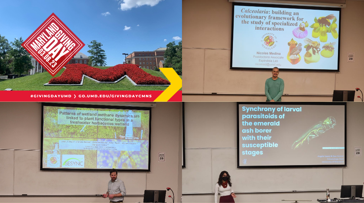 UMDEntomology's tweet photo. #GivingDayUMD is your chance to support #InsectTerps as they move fearlessly forward with research projects like these👇 on the emerald ash borer, wetlands and the evolution of plant insect interactions . https://t.co/8tGuJkwh8T https://t.co/YzbXKd8uWQ