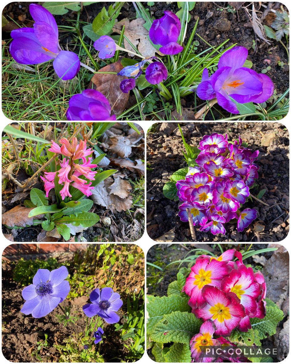 So good to see these little beauties soaking up the sun!