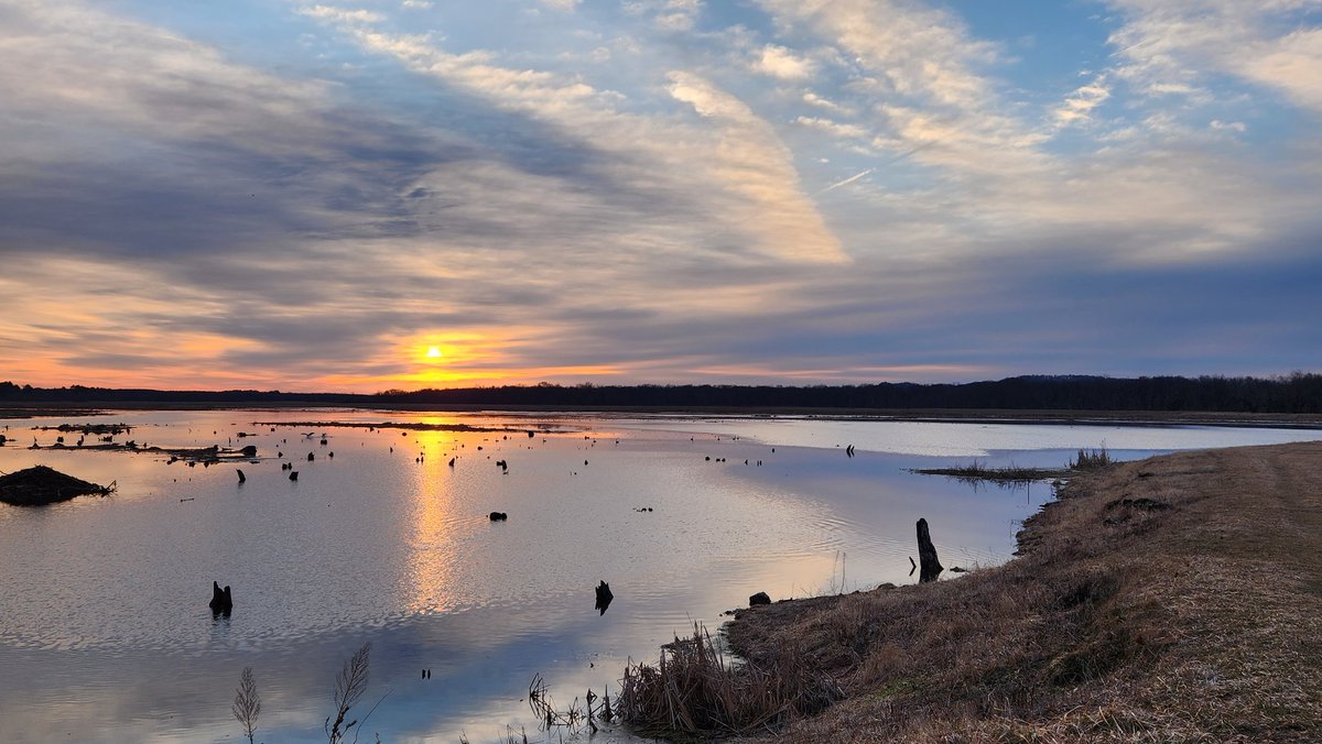 Ryko/Huntyr tweet media