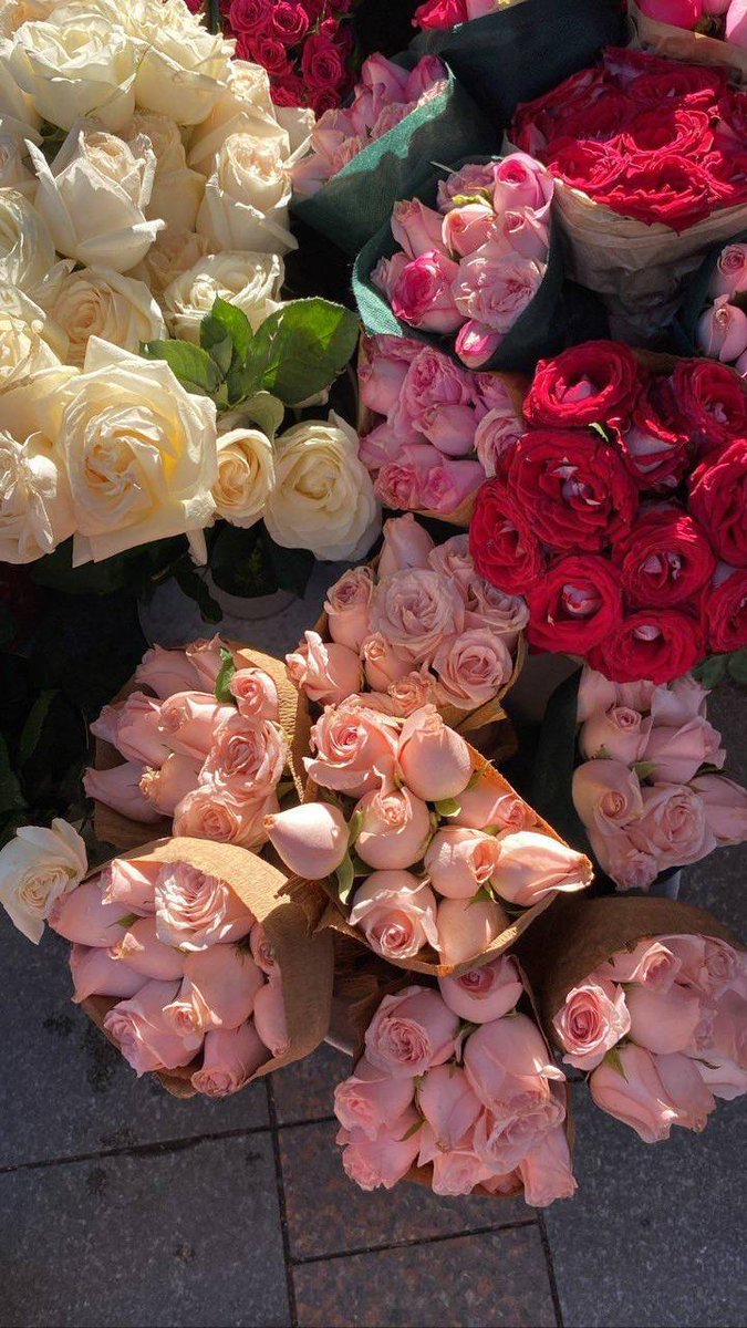 شهد العاني (@shahadalani9) on Twitter photo 