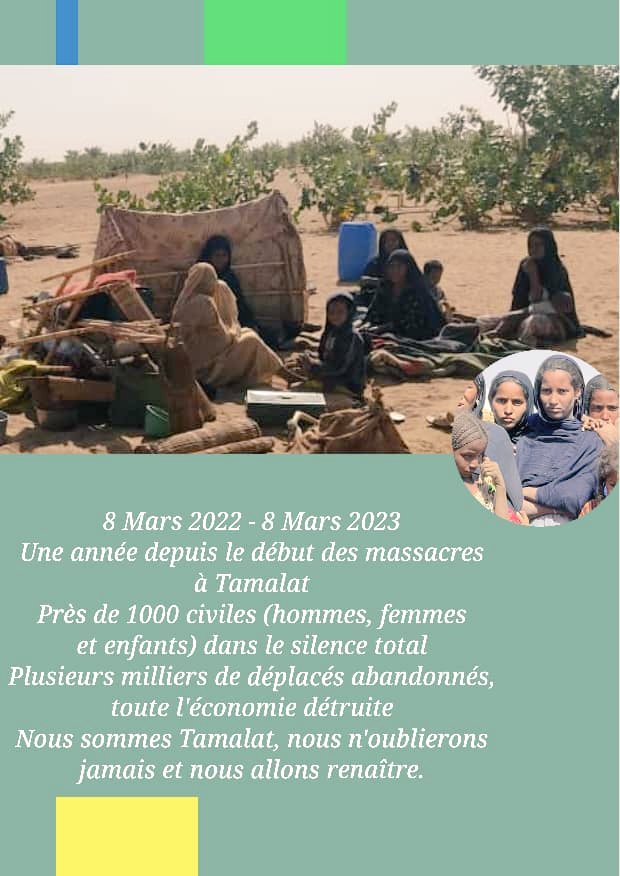 Mossa_ag's tweet photo. #TAMALAT:  mars 2022 à mars 2023, un an de terreur, de massacre de centaines de civils, de pillages, l'espace vidé de sa population sous le regard apathique des autorités et de la communauté internationale. #Ménaka et #Gao n'échappent plus à la terreur de #Daesh. https://t.co/G7Yqjfu1Af