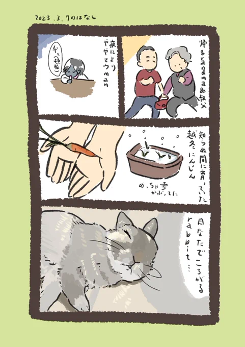 きのうのこと

#うさぎのいる生活 