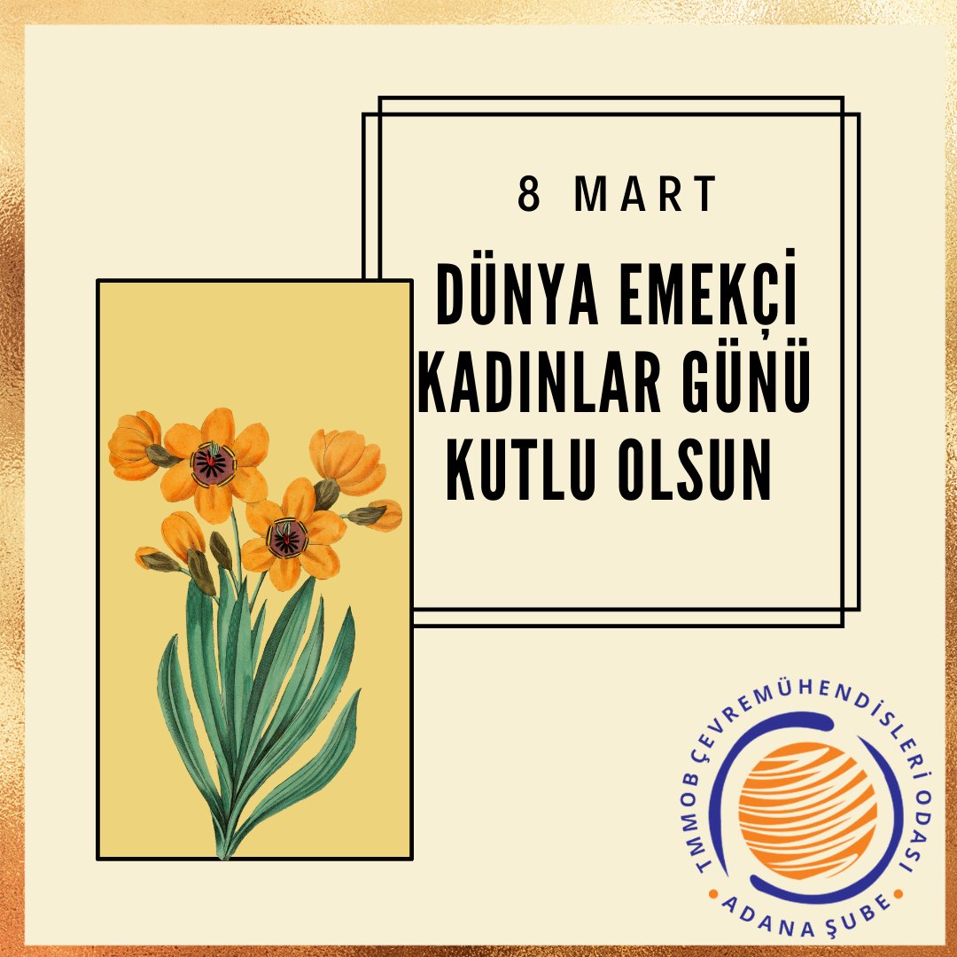 İyi ki kadınlar var!