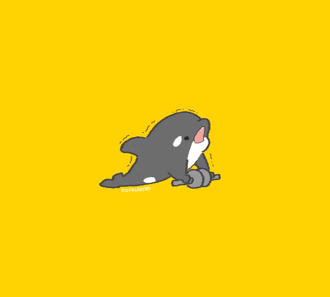 腹筋ローラーする為の腹筋がない 
