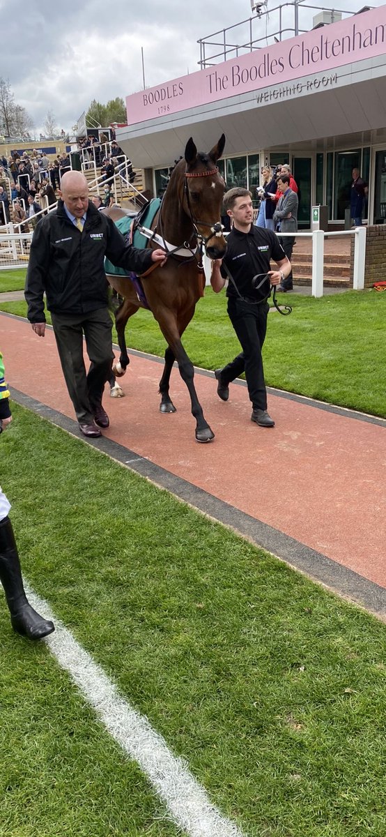 CanterB_Racing's tweet photo. 🔹🔸Big day for our team. Theatre Glory has been supplemented for the Mares Hurdle @CheltenhamRaces. To be in the company of Honeysuckle, Epatante, Marie’s Rock and the other top class mares is a dream come true for so many. #todream #comehomesafe 🔹🔸 https://t.co/9nKN2XQsOe