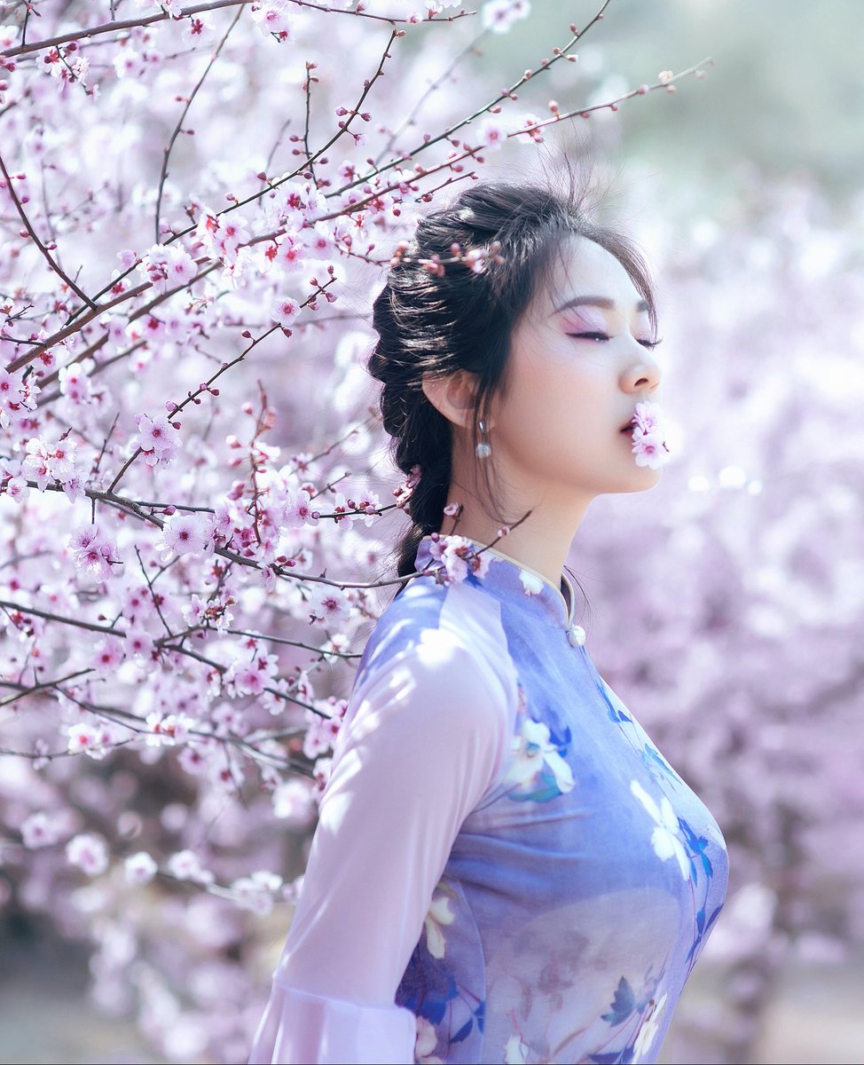 Please speak out, who is most beautiful, me or Cherry Blossom? 请你大声说出来，樱花漂亮还是我漂亮？#樱花 #大美中国 #美丽浙江 #台州府城 #China https://t.co/fvyns7zeTe