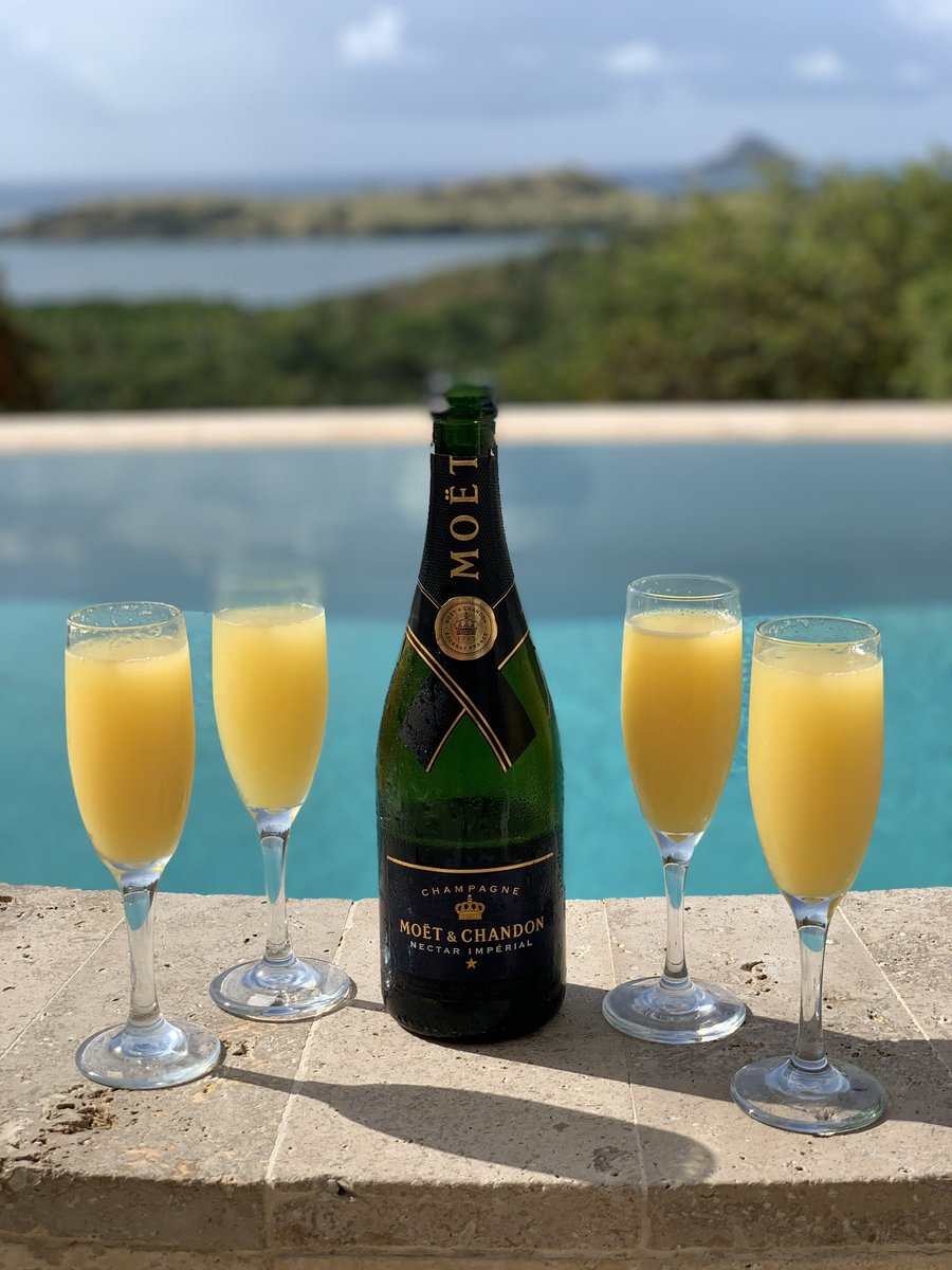 curlybabyg's tweet photo. We love morning mimosas 🍊 🍾 https://t.co/fir81uTTyV