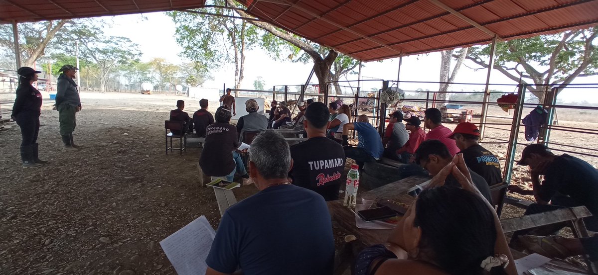 X OFICIAL RibasMRT tweet media