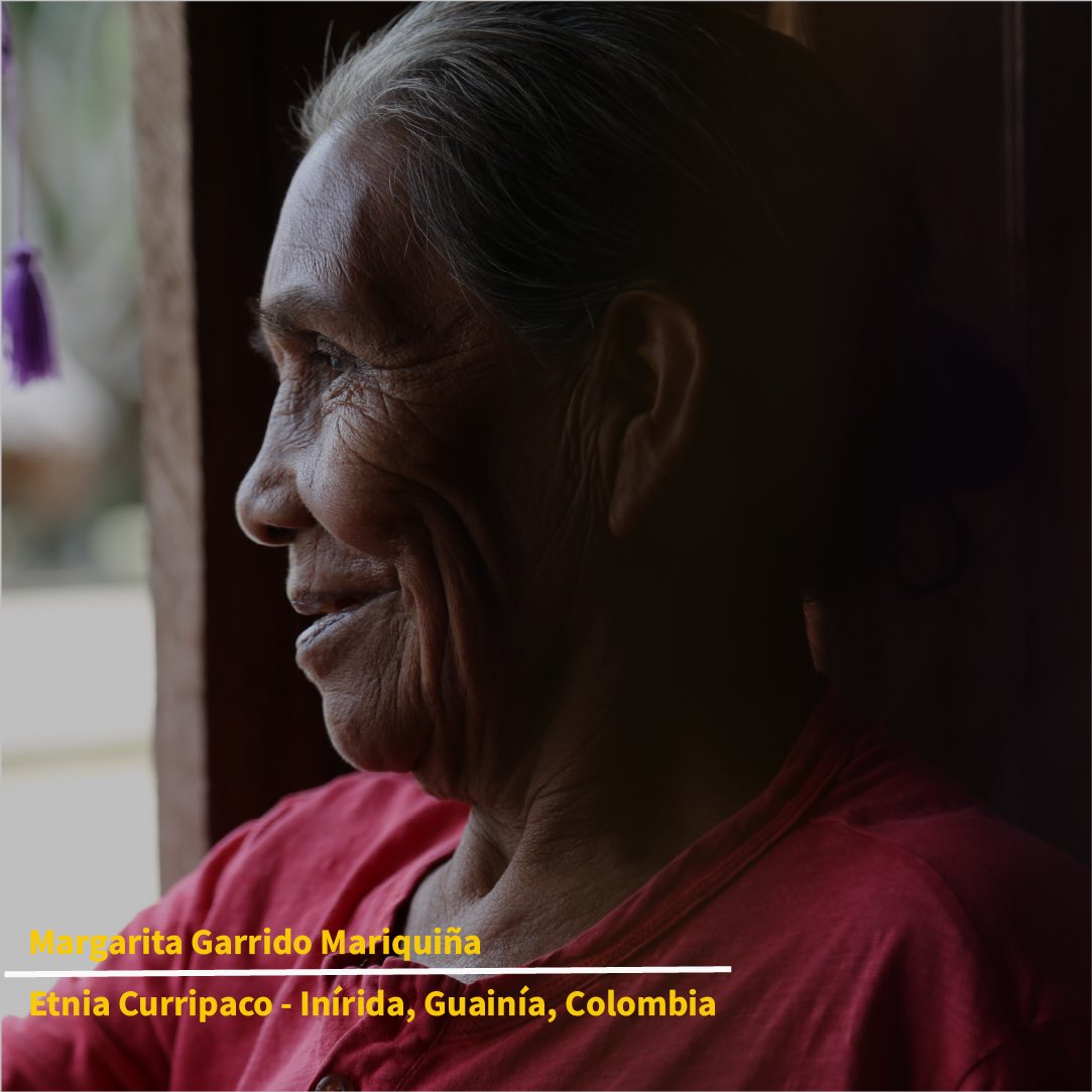 InstitutoSINCHI's tweet photo. 👩🏽En conmemoración del #DíaInternacionalDeLaMujer, compartimos estos rostros de mujeres de la #AmazoniaColombiana que históricamente han sido tejedoras de paz, guardianas del agua y defensoras del territorio y de la vida.👊🏽
#DiaDeLaMujerTrabajadora
#8M
#TodasSomosTrabajadoras https://t.co/Y3T6qIMVT0